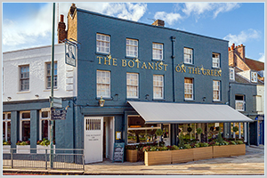 The Botanist Kew